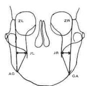 Manual Illustration
